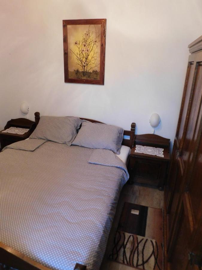 Kamnita Hisa Stari Klesar Vila Ilirska Bistrica Exterior foto