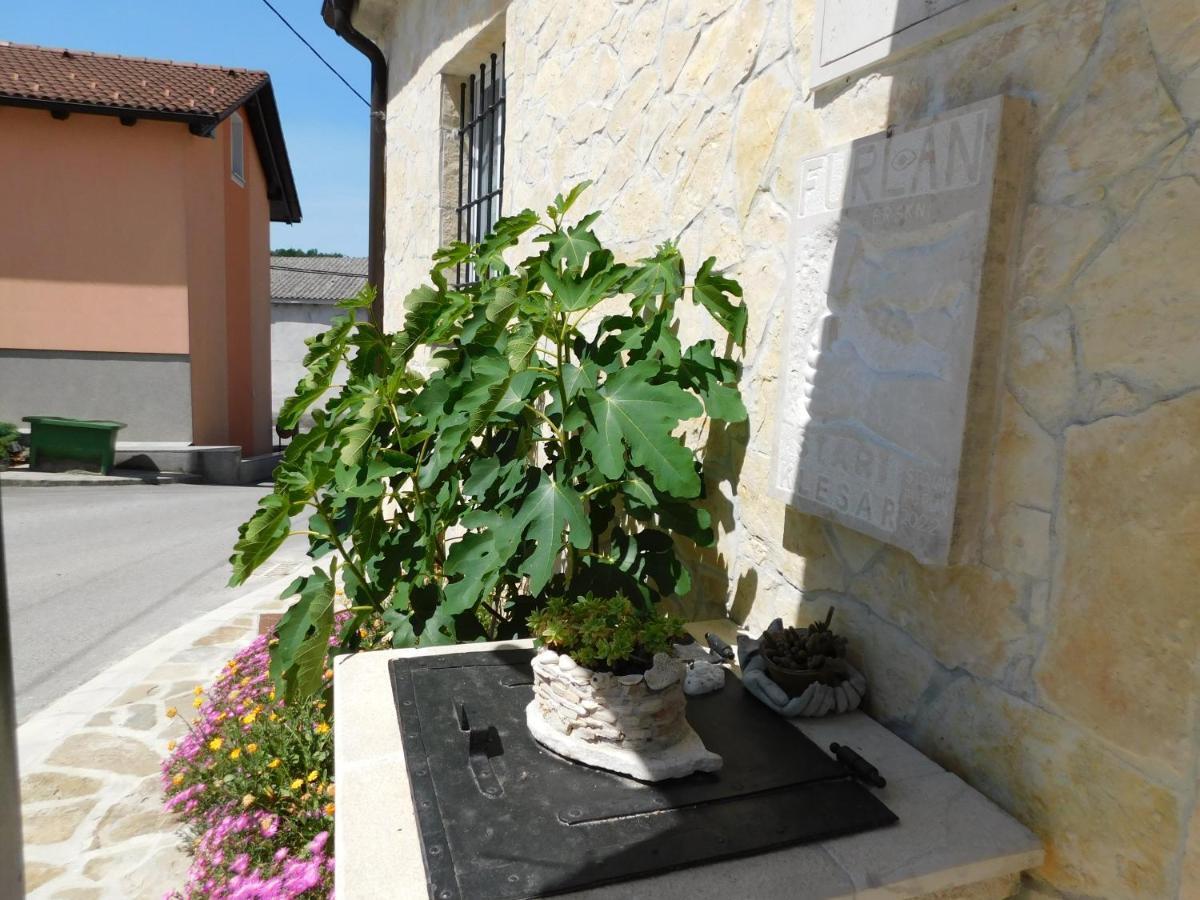 Kamnita Hisa Stari Klesar Vila Ilirska Bistrica Exterior foto