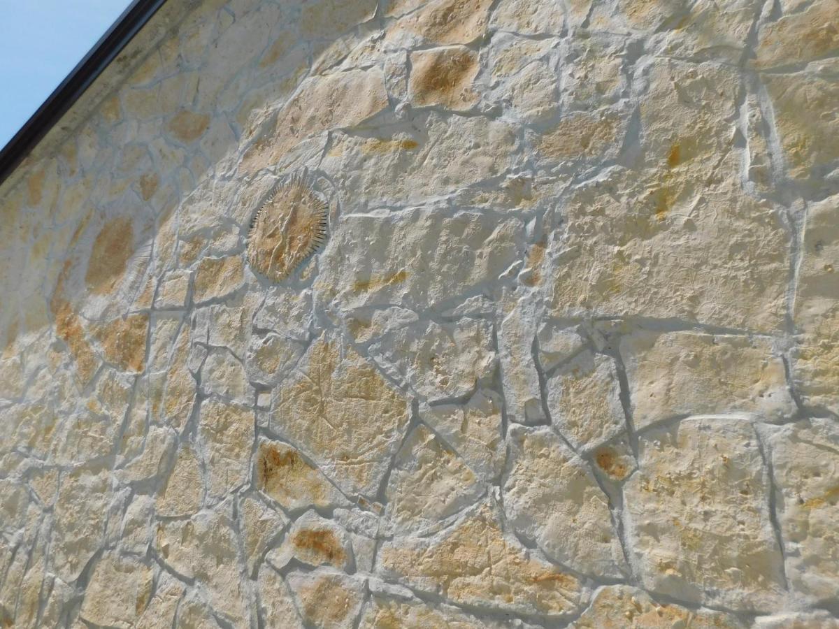 Kamnita Hisa Stari Klesar Vila Ilirska Bistrica Exterior foto